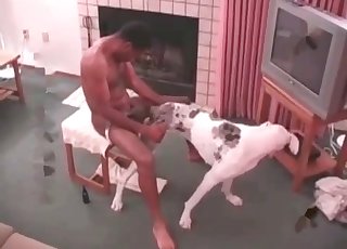Stunning anal hookup with a dog
