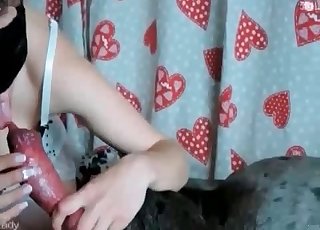 Amazing chick enjoys her dog sex