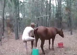 Pony enjoys perverted anal sex
