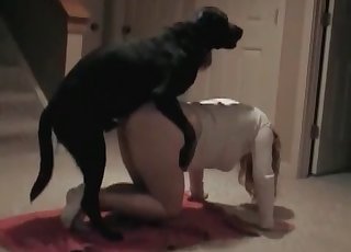 Muddy black doggy is enjoying porn
