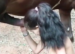 Impressive girl is sucking a pony