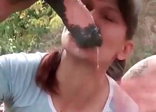 Big stallion in the senior barn