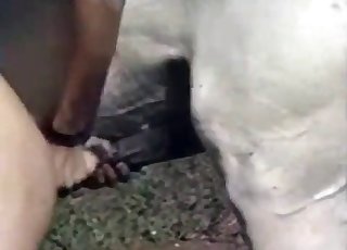 Dve baby sa šantenia s pekným poníkom