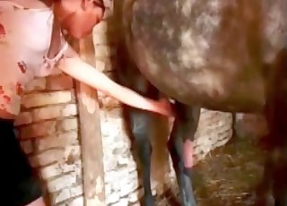 فحل رمادي ساخن يضرب خطفها