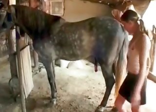 فحل رمادي ساخن يضرب خطفها