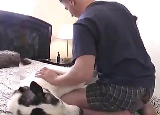 Big-dicked dog gets a super-cute handjob