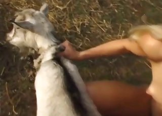 Kinky human couple and a tight pussy goat