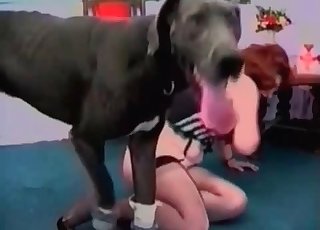 Redhead opens her cunt for a black beast