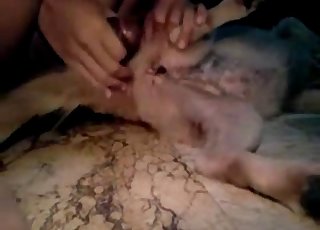 Awesome amateur bestiality XXX with my nice dog