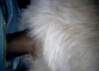 Castigando el coño caliente de ese caballo