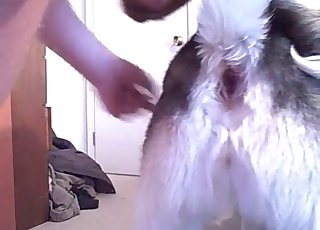 Intense action with a very hot beast