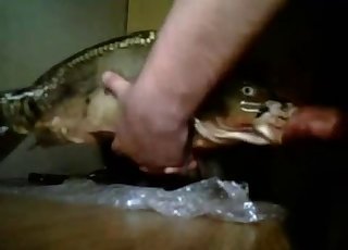 Dude face-fucking a goddamn fish