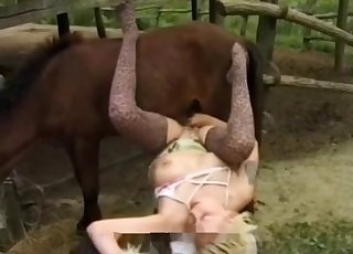 Sexy big stallion fucking her wet vagina