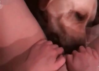 Pussy-licking from a boxer
