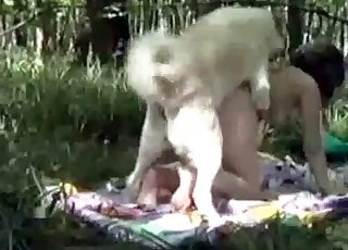 户外与狗狗进行狗式性爱
