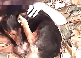 Fyr knepper sin liderlige hund sidelæns