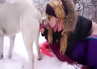 Shades-wearing amateur sucking dog cock