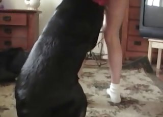 The most violent kind of bestiality sex