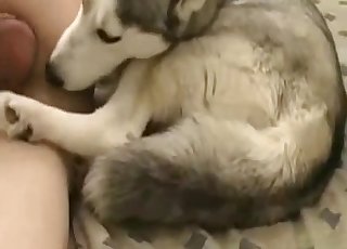 Seducing his pet with his thick dick