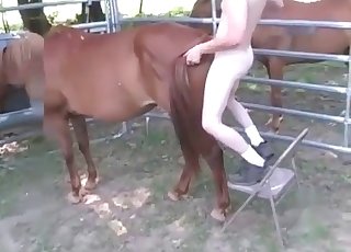 Fucking this slutty horse from behind