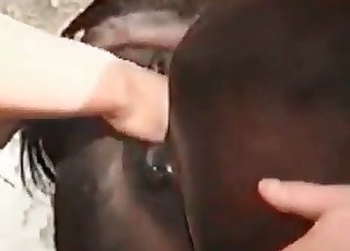 Close-up fisting for a sexy horse