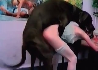 Doberman enjoying rough sex session