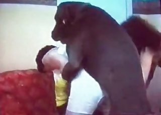 Black dog wants brutal banging