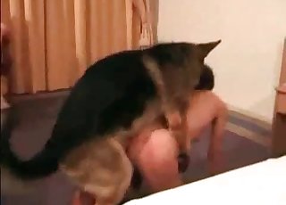 Sexy shepherd fucked her cunt so fast