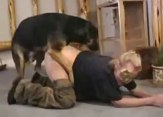 Maskovaný zoofil to bere po čtyřech