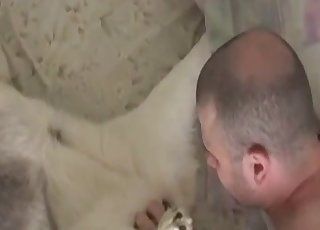 White doggy penetrated in missionary pose
