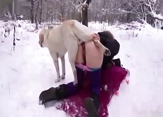 Harika köpek sıkı amını becerdi