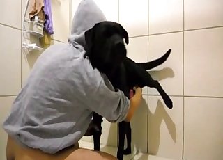 Black dog gives in to temptation