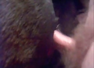 Dude fucking this animal from behind