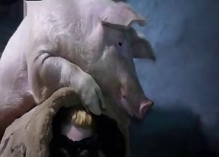 Huge pig fucked slender chick at the farm