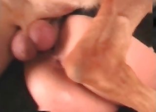 亞洲妞兒吸吮狗的肉棒