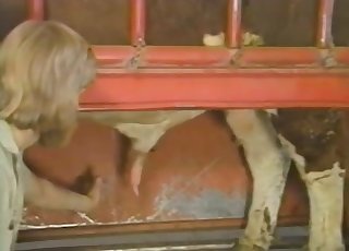 Wife collects farm animal cum in can