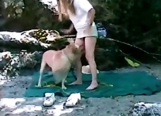 Detailný záber na búchanie s krútenou beštiou