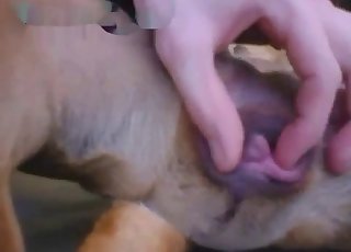 Teasing that animal's hot pussy