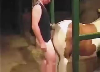 Fucking white horse ass in doggy style pose