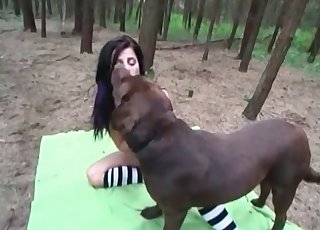 Sexy chick is trying filthy bestiality XXX