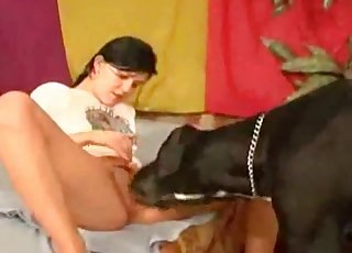 金髪美女が犬のチンポを崇拝