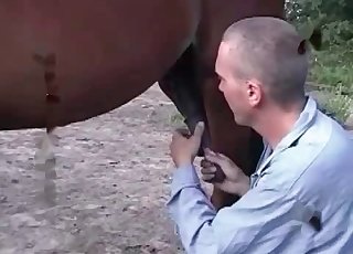 Hot guy blowing a big-dicked horse